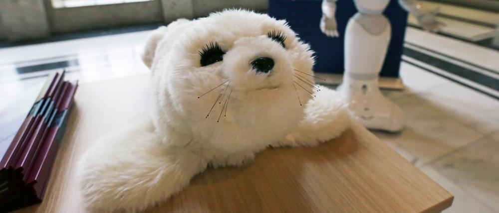 Kuschelrobbe Paro.