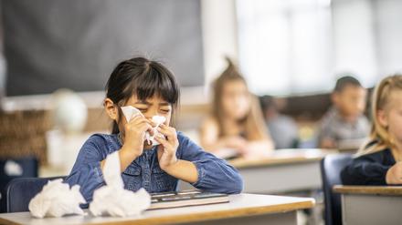 Behindern den Alltag an Schulen und Kitas: Birkenpollen lösen Allergien aus.