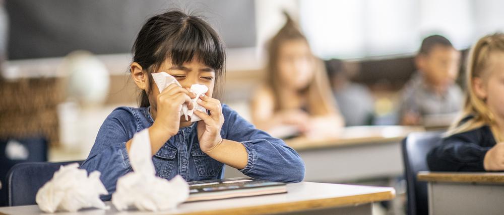 Behindern den Alltag an Schulen und Kitas: Birkenpollen lösen Allergien aus.