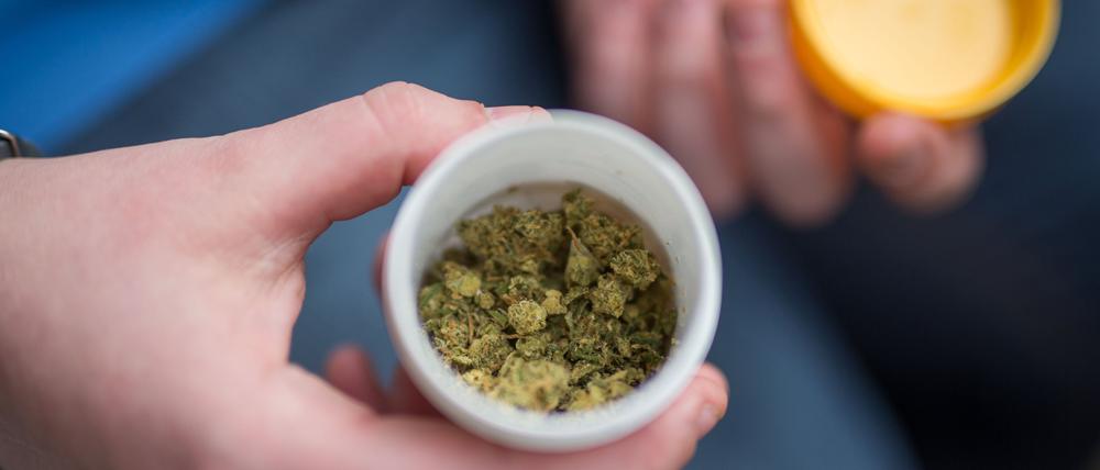 Auch wenn in Deutschland seit April medizinisches Cannabis kein Betäubungsmittel mehr ist – in vielen anderen Ländern gilt das nicht. 