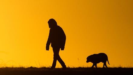 Mann mit Hund beim Gassi-Gehen (Symbolbild)