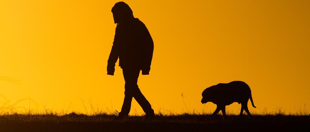 Mann mit Hund beim Gassi-Gehen (Symbolbild)