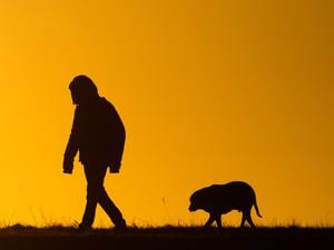Mann mit Hund beim Gassi-Gehen (Symbolbild)