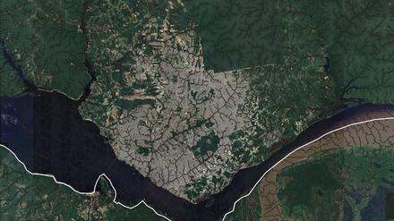 Satellitenansicht der brasilianischen Stadt Manaus, auf der die vielen Täler und Flussläufe im Stadtgebiet sichtbar werden.