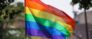 Die Regenbogenfahne.