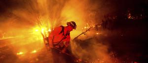 Feuerwehrmann Chris Fritz versucht zu verhindern, dass sich das Aero-Feuer in der Gemeinde Copperopolis in Calaveras County ausbreitet.  