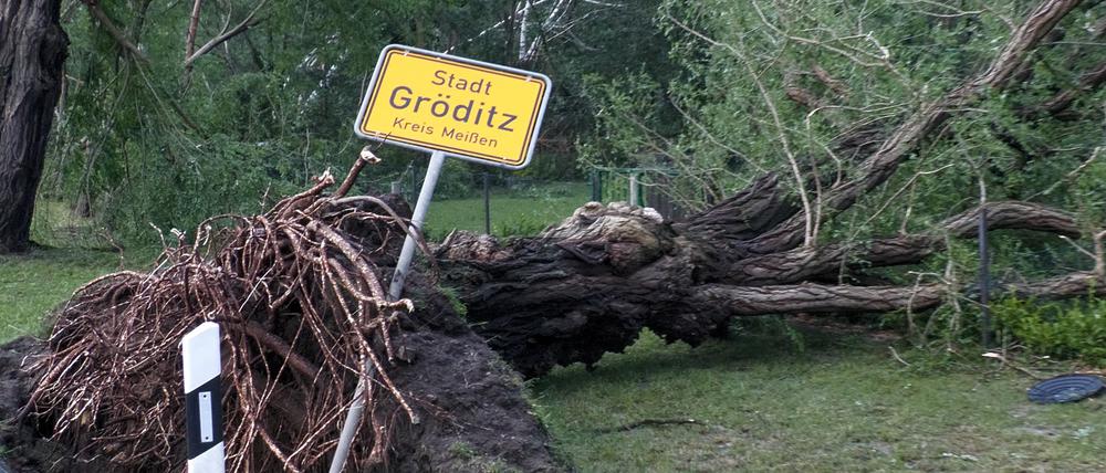Ein umgefallener Baum liegt neben dem Ortsschild von Gröditz.