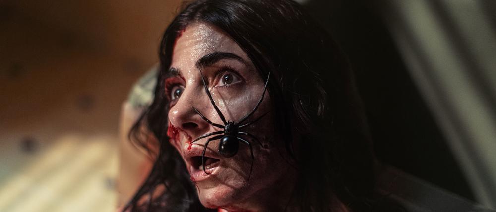 Eine Frau blickt verstört zur Decke. Auf ihrem Gesicht sitzt eine große schwarze Spinne.