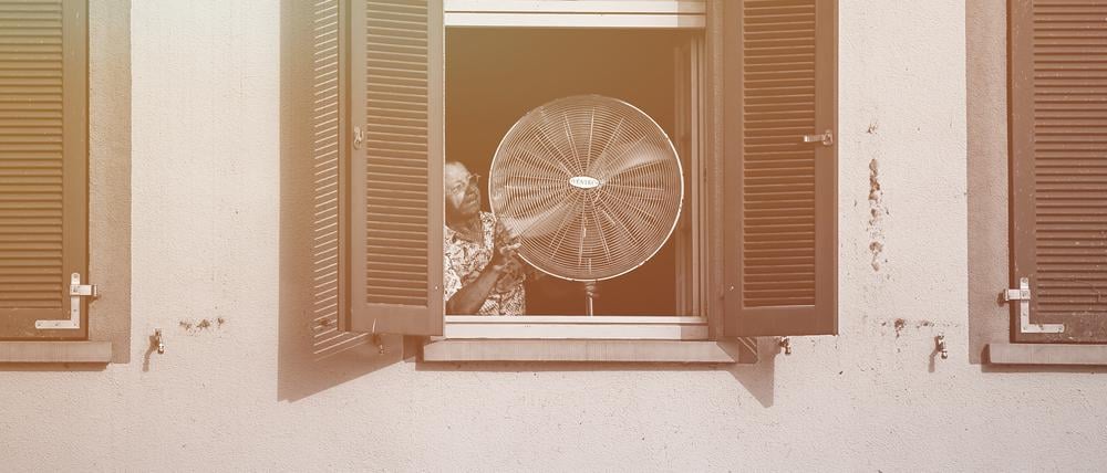 Der Sommer 2023 war weltweit der mit Abstand wärmste. Auch in Deutschland kam es immer wieder zu Hitzewellen.
