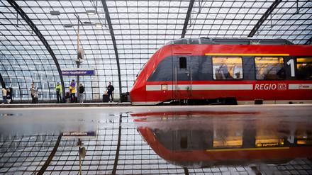 Im Berliner Hauptbahnhof fanden Polizisten eine Schildkröte.
