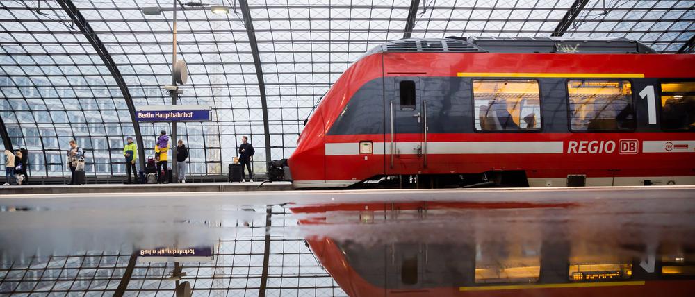 Im Berliner Hauptbahnhof fanden Polizisten eine Schildkröte.
