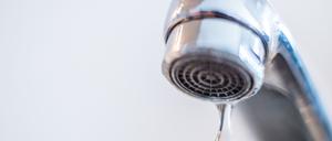 In Teilen der Potsdamer Gutenbergstraße gibt es aktuell kein Wasser.