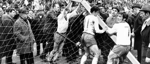 Torbruch im Spiel Borussia Mönchengladbach gegen SV Werder Bremen, Bremer Spieler versuchen, das Tor wieder aufzurichten. Das klappte nicht am 3. April 1971, dafür läuft bei den Stachelschweinen vieles rund.