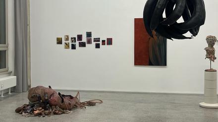 Mannhundschweine und Menschenkäfer. Blick in die Ausstellung„Things we Meet in the Dark“ in der Kleinen Humboldt Galerie.