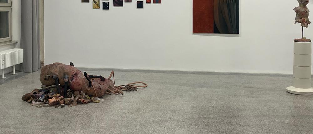 Mannhundschweine und Menschenkäfer. Blick in die Ausstellung„Things we Meet in the Dark“ in der Kleinen Humboldt Galerie.