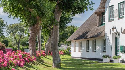 Sehnsuchtsort Sylt: Ein Reetdach-Haus in Keitum können sich nur wenige leisten. 