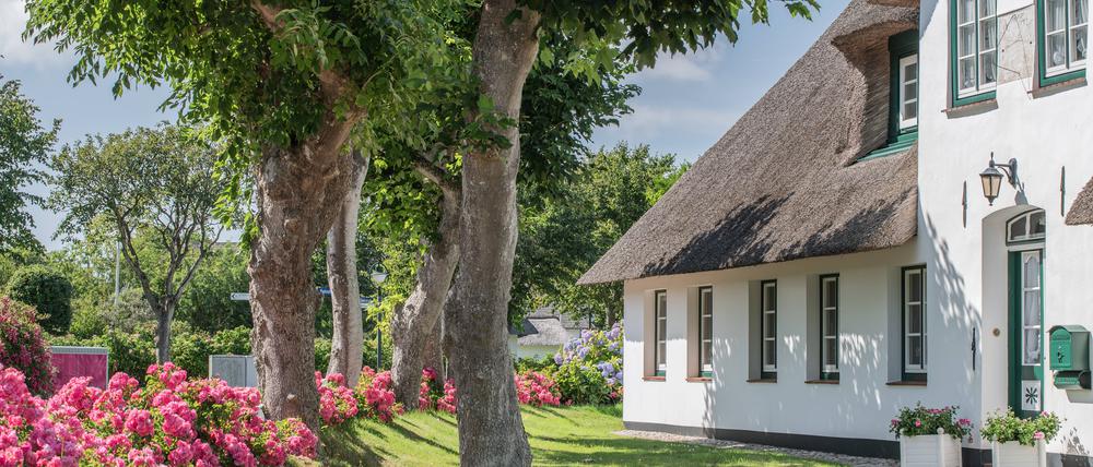 Sehnsuchtsort Sylt: Ein Reetdach-Haus in Keitum können sich nur wenige leisten. 