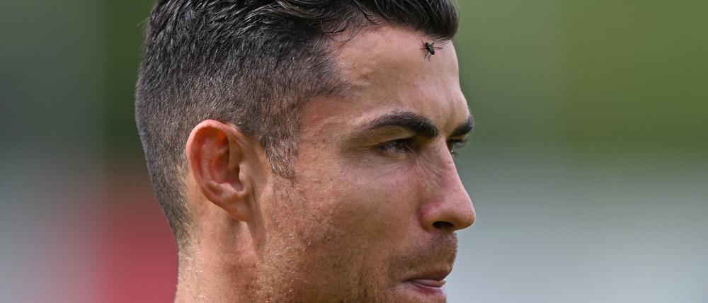 Hau schon ab, du Fliege. Cristiano Ronaldo.