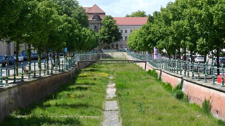 Der Boden des historischen Stadtkanals, hier in der Yorckstraße, ist mit Gras bewachsen. Der etwa 1800 Meter lange Kanal war 1969 zugeschüttet worden. 