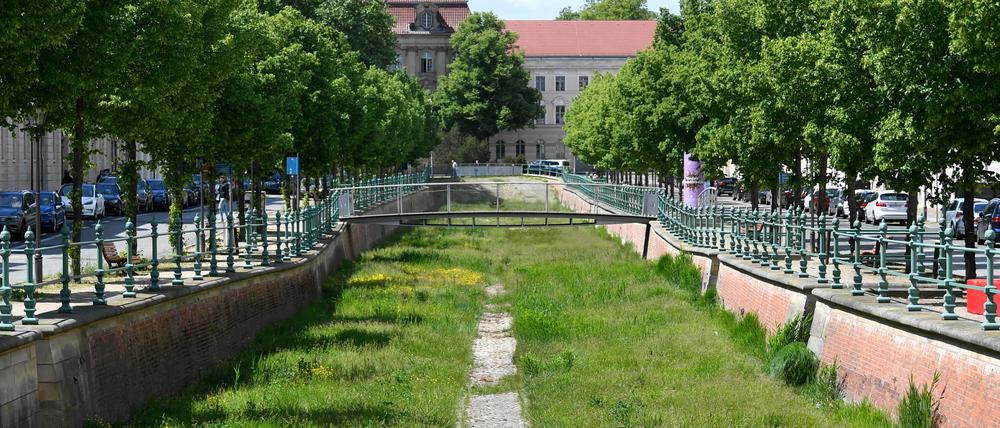 Der Boden des historischen Stadtkanals, hier in der Yorckstraße, ist mit Gras bewachsen. Der etwa 1800 Meter lange Kanal war 1969 zugeschüttet worden.