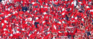 Österreichische Fans bejubeln im Stadion den Sieg ihres Teams.