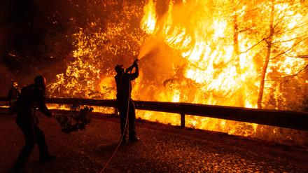 Griechenland, Athen: Freiwillige Helfer unterstützten einen Feuerwehrmann bei den Löscharbeiten eines Waldbrandes (Archivbild vom 05.08.2021).