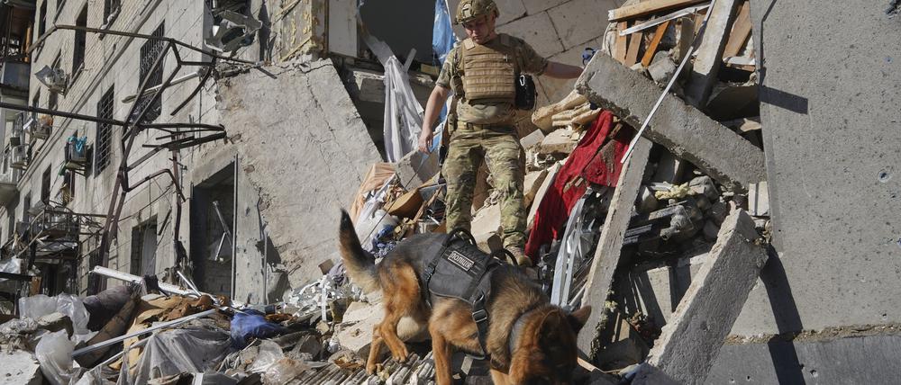 Ein Rettungshelfer sucht mit einem Hund nach Opfern in einem Wohnhaus, das nach einem russischen Bombenangriff beschädigt wurde.