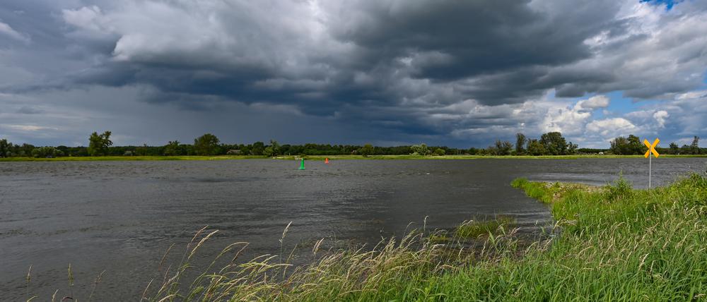 Dunkle Wolken ziehen über den deutsch-polnischen Grenzfluss Oder, in dem wieder vermehrt tote Fische auftauchen.