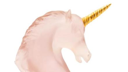 Nach diesem Einhorn sucht die Polizei. 