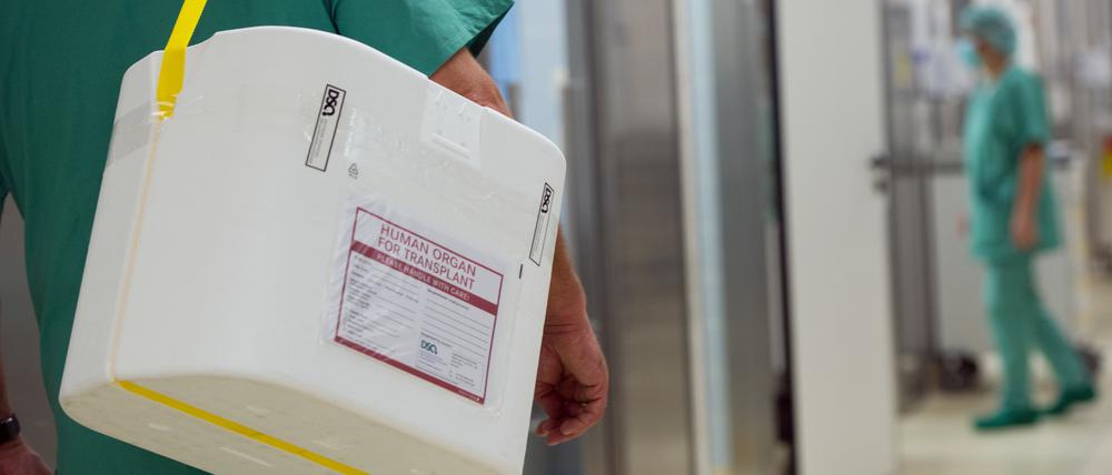 Ein Styropor-Behälter zum Transport von zur Transplantation vorgesehenen Organen wird an einem OP-Saal vorbeigetragen.