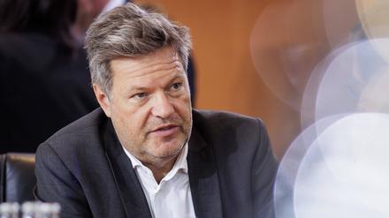 Robert Habeck (Bündnis 90/Die Grünen), Bundesminister für Wirtschaft und Klimaschutz und Vizekanzler, aufgenommen im Rahmen der Kabinettssitzung in Berlin (Archivbild).