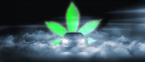 Cannabis-Konsum im Straßenverkehr soll ab Juli in geringen Maßen erlaubt sein. 