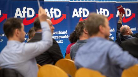 Teilnehmer des Landesparteitags AfD Brandenburg. Die AfD in Brandenburg wird vom Verfassungsschutz als rechtsextremistischer Verdachtsfall eingestuft (Archivbild).