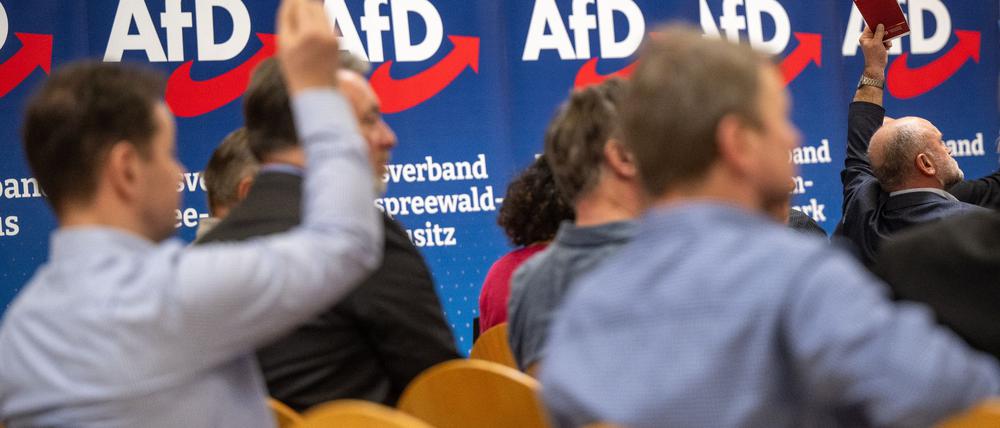 Teilnehmer des Landesparteitags AfD Brandenburg. Die AfD in Brandenburg wird vom Verfassungsschutz als rechtsextremistischer Verdachtsfall eingestuft (Archivbild).