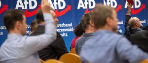 Teilnehmer des Landesparteitags AfD Brandenburg. Die AfD in Brandenburg wird vom Verfassungsschutz als rechtsextremistischer Verdachtsfall eingestuft (Archivbild).