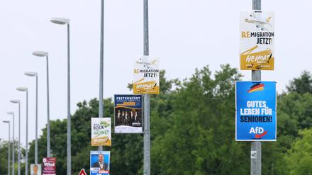 Plakate der AfD „Gutes Leben für Senioren“ und „Heimat – Remigration jetzt!“ hängen an Laternenmasten.