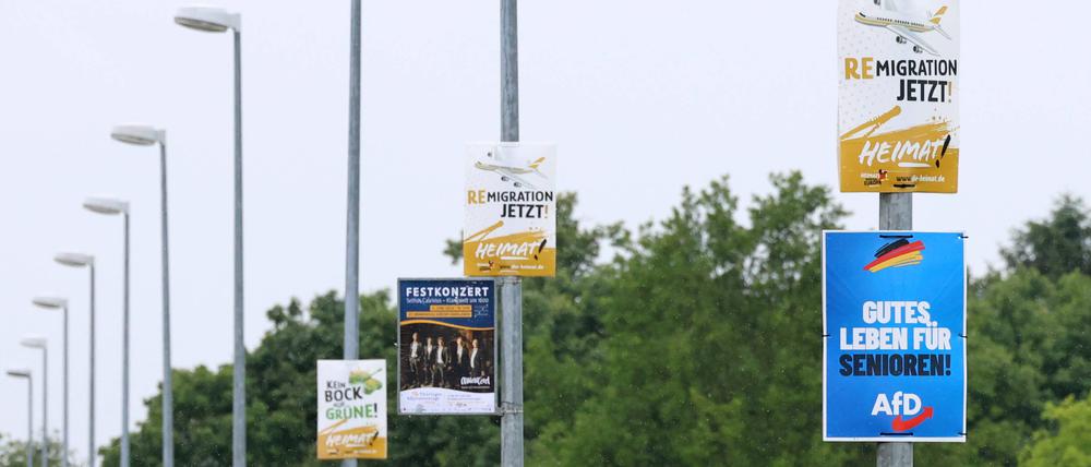 Plakate der AfD „Gutes Leben für Senioren“ und „Heimat – Remigration jetzt!“ hängen an Laternenmasten.