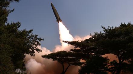 Die von der staatlichen nordkoreanischen Nachrichtenagentur KCNA am 18.05.2024 zur Verfügung gestellte Aufnahme zeigt nach Angaben von KCNA den Testabschuss einer taktischen ballistischen Rakete an einem nicht genannten Ort in Nordkorea. Unabhängige Journalisten hatten keinen Zugang zu dem Ereignis, das auf diesem von der nordkoreanischen Regierung verbreiteten Bild zu sehen ist. Der Inhalt dieses Bildes ist so, wie er zur Verfügung gestellt wurde und kann nicht unabhängig überprüft werden.