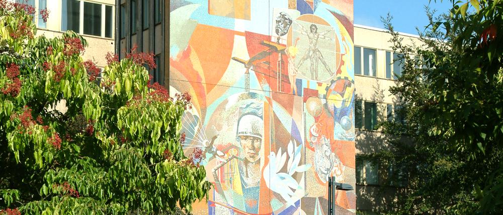 Farbenfroh und formstark: Das Mosaik von Fritz Eisel über dem Eingang des Hauptgebäudes der BTU Cottbus wurde 2006 abgetragen. 