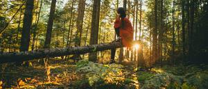 Eine junge Frau erholt sich im Wald. 