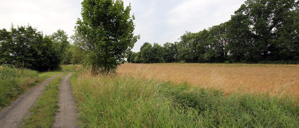 In Grube soll das Internet schneller werden.