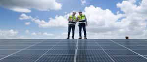 Wenn die Solaranlage schon halb bezahlt ist und der Monteur pleite, bleiben die Betroffenen meist auf den Kosten sitzen.  
