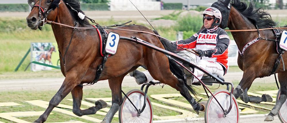 Im Pferderennsport ist der Holländer Paul Hagoort ein gefragter Mann.