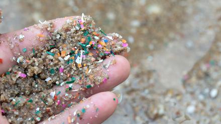 Mikroplastikkügelchen liegen auf einer Hand. Die kleinen Plastikteilchen mit einer Größe unter fünf Millimeter verschmutzen die Meere und werden oft von Fischen und anderen Meeresbewohnern aufgenommen. 