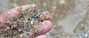 Mikroplastikkügelchen liegen auf einer Hand. Die kleinen Plastikteilchen mit einer Größe unter fünf Millimeter verschmutzen die Meere und werden oft von Fischen und anderen Meeresbewohnern aufgenommen. 
