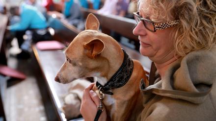 In der Steglitzer Mätthaus-Gemeinde dürfen Hunde in die Kirche mitgebracht werden.