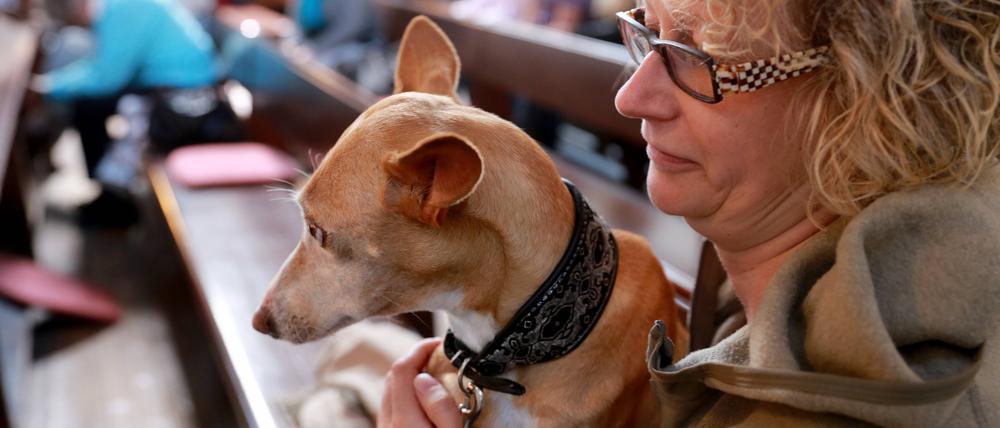In der Steglitzer Mätthaus-Gemeinde dürfen Hunde in die Kirche mitgebracht werden.