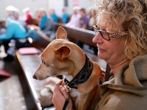 In der Steglitzer Mätthaus-Gemeinde dürfen Hunde in die Kirche mitgebracht werden.