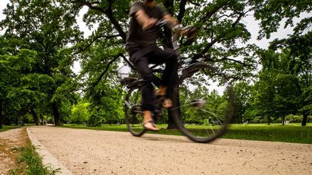 Ein Radfahrer in einem Berliner Park.