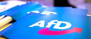 Im Politbarometer kommt die AfD aktuell auf 17 Prozent.
